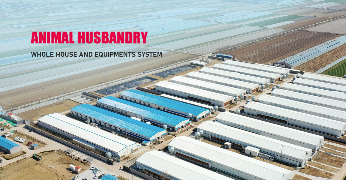 quality Steel Structure factory