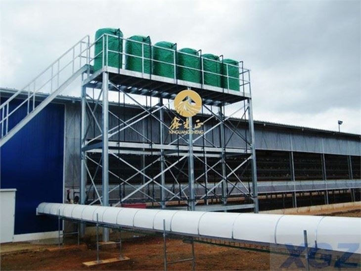 steel layer chicken house