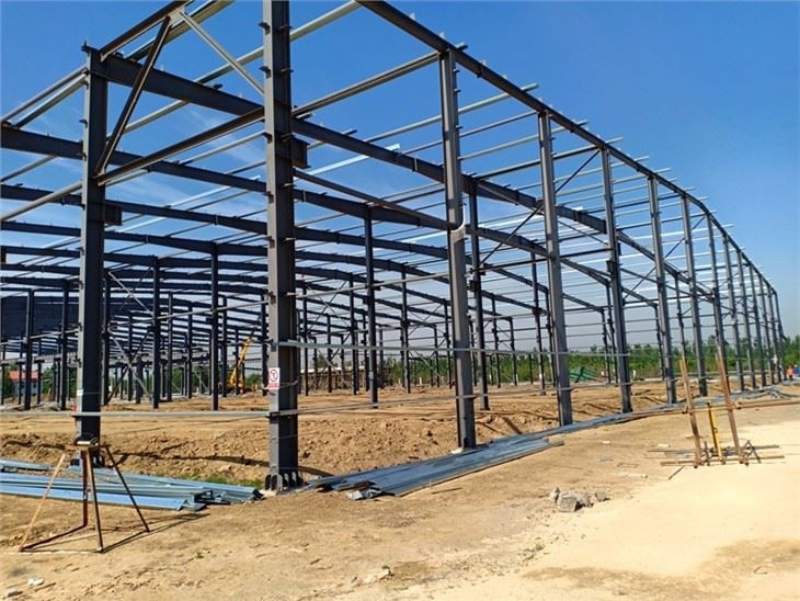 Famous Steel Structure Shopping Mall Market
